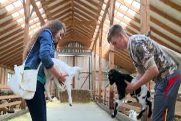 Liceele tehnologice cu profil preponderent agricol sunt susținute financiar de Ministerul Agriculturii și Dezvoltării Rurale