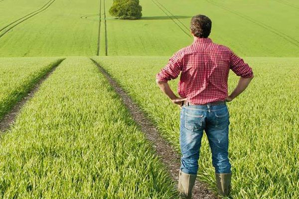 Noi măsuri de sprijin pentru tinerii fermieri 