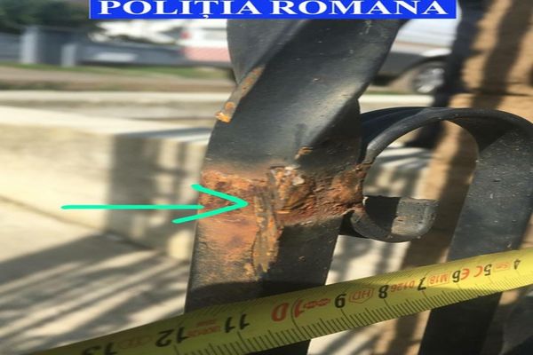 Polițiști, criminaliști și un medic veterinar, parteneri într-o misiune de suflet