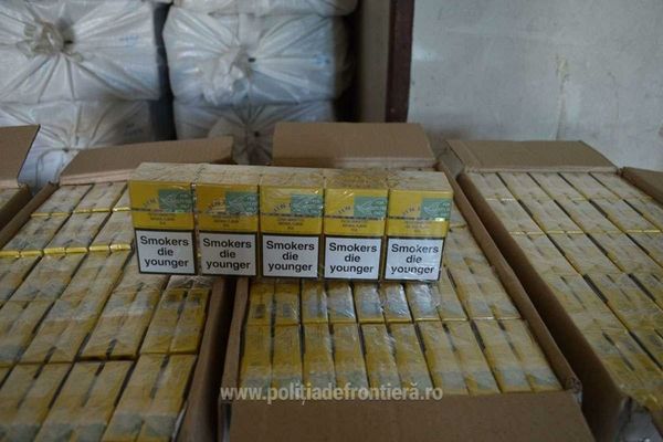Captură impresionantă de țigări pe granița de nord a României