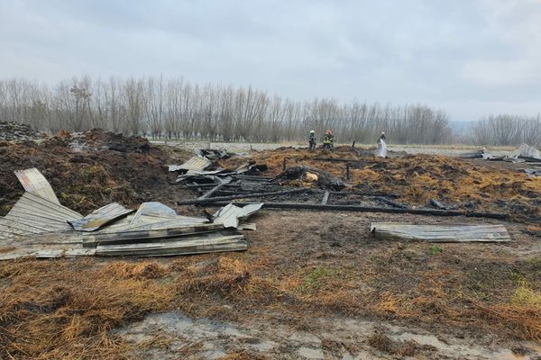 Adăpst de animale incendiat intenționat