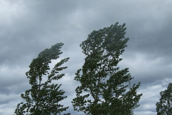 Avertizare de vânt puternic pentru mai multe județe din țară