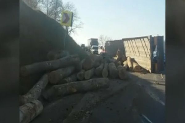 Reacția Prefecturii după agresarea unui activist de mediu 