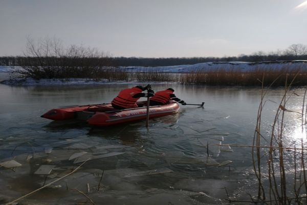 Lebede salvate de pompierii suceveni