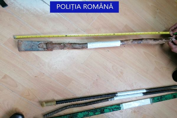 Bărbați violenți din suceava și Botoșani, reținuți de polițiști