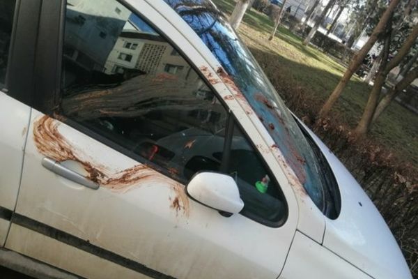 Maşină mânjită cu fecale în centrul Sucevei  