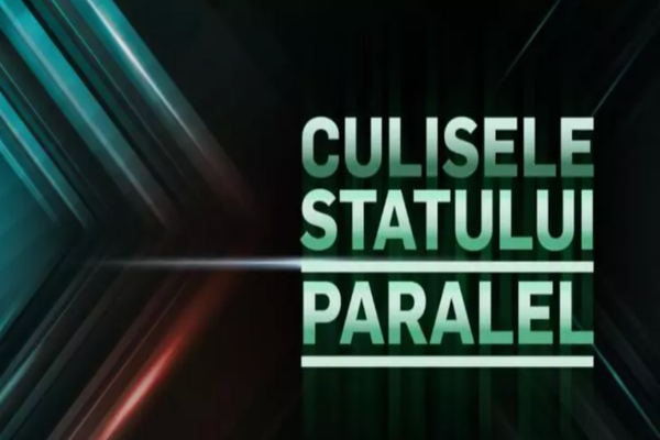 Culisele statului paralel | Mafia lemnului nu iartă! Până unde vor merge crimele și măcelul pădurilor țării?