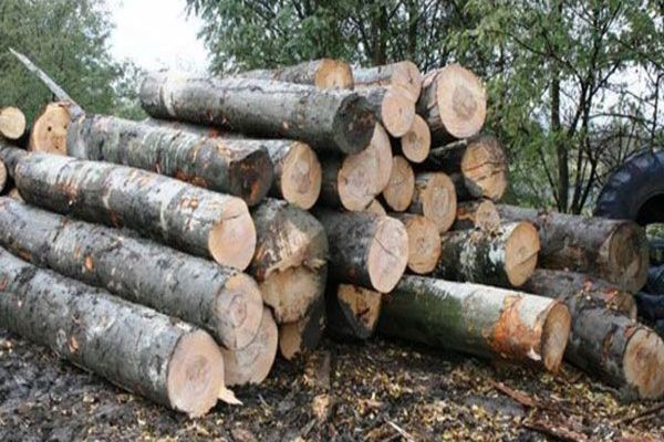 Amenzi de peste 27.000 lei date de polițiști după un scandal în comuna Sadova