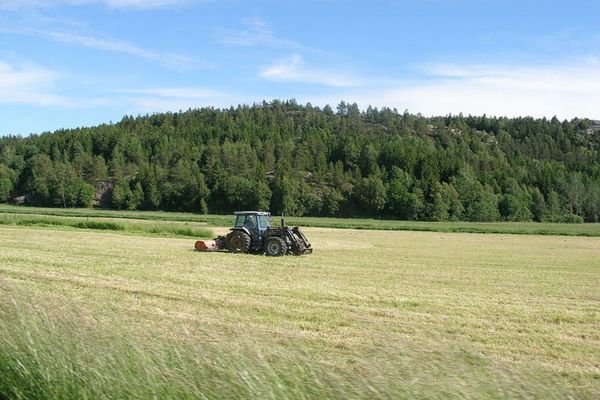 Recensământul General Agricol în România, 10 mai – 31 iulie 2021