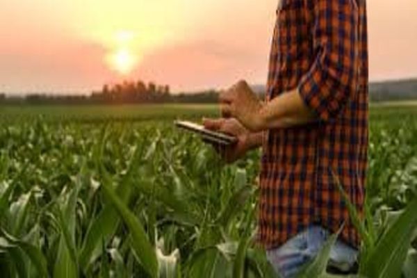 S-au publicat condițiile la sprijinul pentru tinerii fermieri și fermele mici