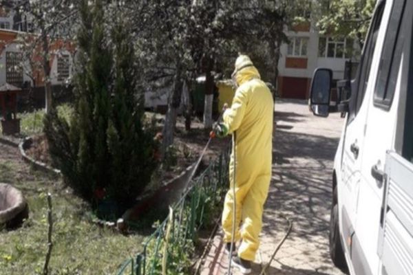 39 de suceveni înțepați de căpușe în ultimele trei săptămâni au ajuns la UPU a SJU Suceava pentru îngrijiri medicale 