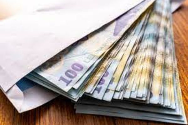 PNL conduce topul partidelor care cheltuie subvențiile pentru presă și propagandă