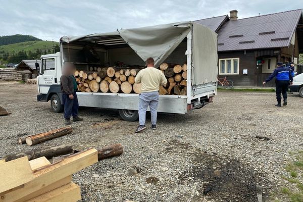 Bărbat depistat de jandarmi în timp ce transporta material lemnos fără documente de proveniență