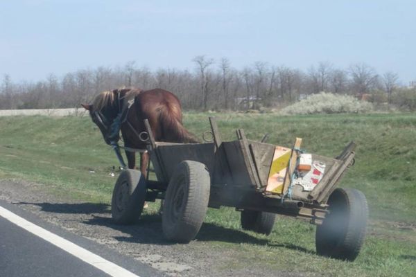 Un căruțaș neatent a ajuns la spital după ce a fost acroșat de o mașină