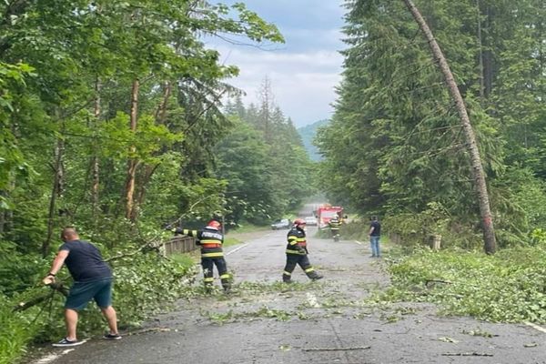 Circulație întreruptă pe DN 17 A din cauza unor copaci care au căzut pe șosea