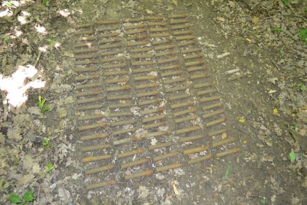 În loc de ciuperci a găsit mai multe elemente de muniție