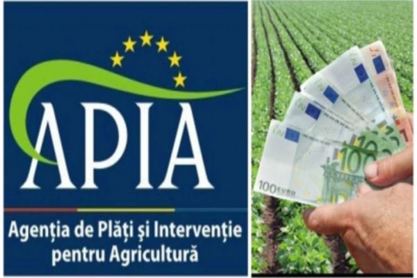 APIA:  815.291 cereri pentru o suprafaţă solicitată la plată de 9.941.867,01 ha