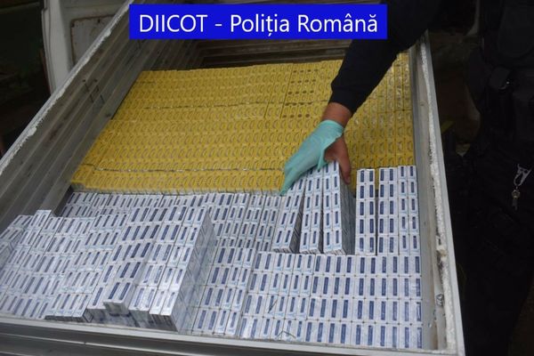 Peste 17.000 de pachete de țigări de contrabandă, descoperite de DIICOT, în urma unor percheziții în Bihor, Suceava și Sibiu! Patru persoane, reținute
