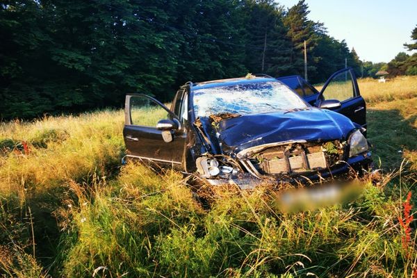 S-au oprit cu mașina într-un copac