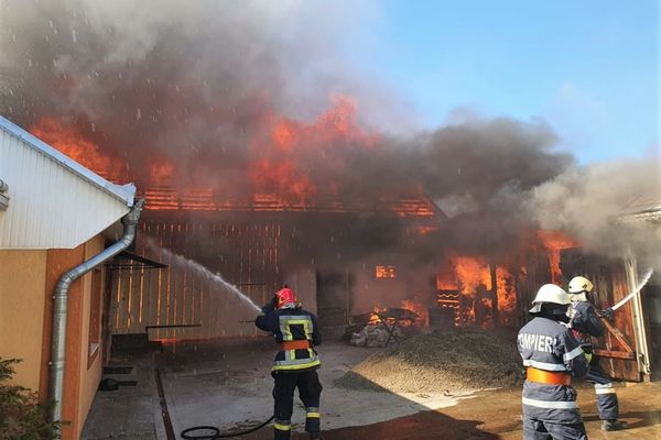 FOTO- Incendiu violent într-o localitate din Suceava! Trei femei au avut nevoie de îngrijiri medicale