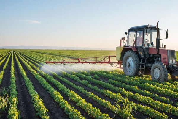 Recensământul General Agricol-  peste 3.220.000 de exploatații agricole, recenzate