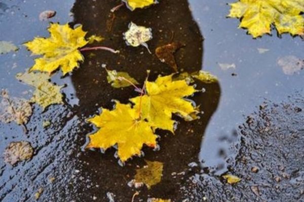 Vremea se schimbă radical, în zilele următoare