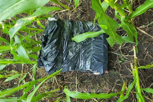 Ţigări confiscate dintr-un autoturism oprit în trafic de poliţiştii de frontieră suceveni 