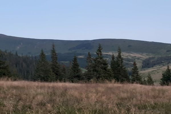 Deputat UDMR: ”Avem nevoie de înfiinţarea unui brand al Munţilor Carpaţi”