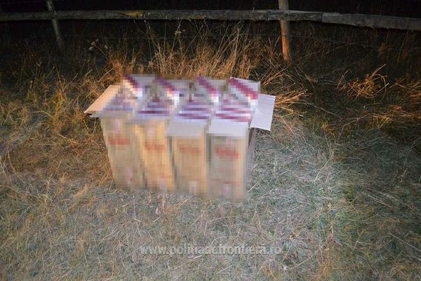 Ţigări de contrabandă în valoare de aproximativ 23.500 lei confiscate la frontiera de nord