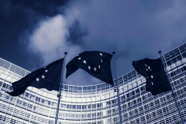 UE pregătește o directivă pentru interzicerea înregistrării anonime de domenii