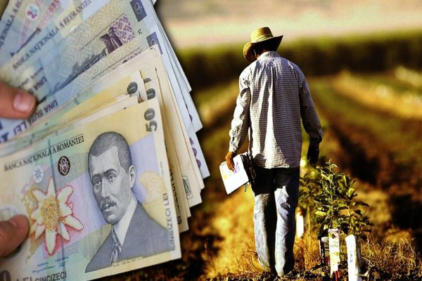 APIA demarează plata în avans pentru fermierii care au depus Cereri unice de plată în anul 2021