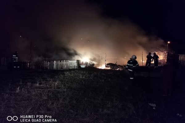 Patru animale au murit într-un incendiu la Horodnicu de Sus