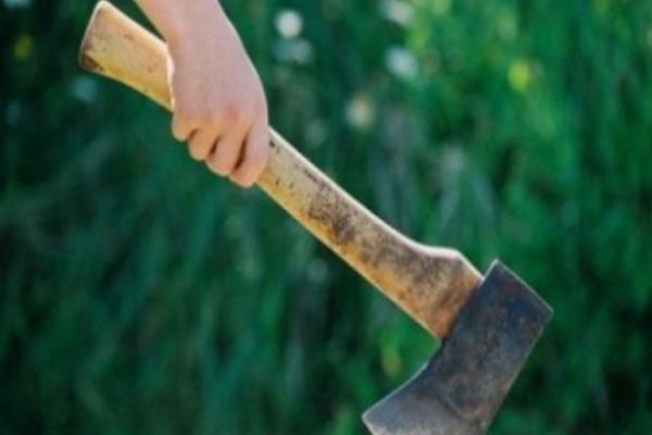 Hoții de lemne nu se dezic: Au BĂTUT cu parul un pădurar, după ce acesta i-a prins la FURAT