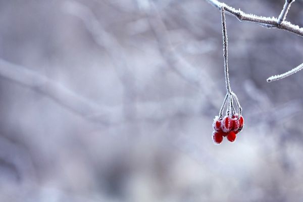 Ce anunță meteorologii pentru astăzi