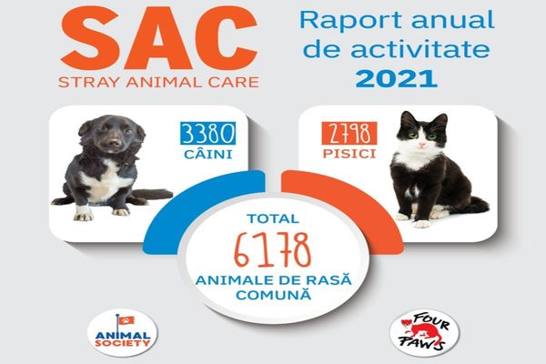 2021 – Un an plin de provocări, se încheie cu rezultate bune