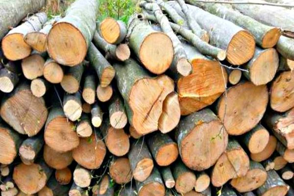 Controale și amenzi la două firme sucevene care au depozite la Dărmănești