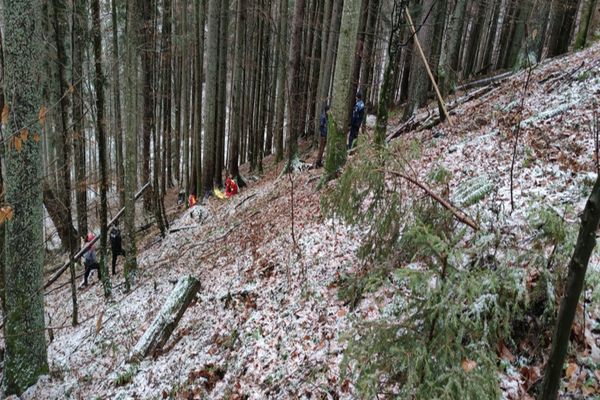 Se ascundea în pădure pentru a scăpa de închisoare