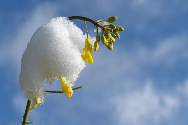 Prognoza meteo 26 ianuarie. Vremea, în ușoară încălzire. 