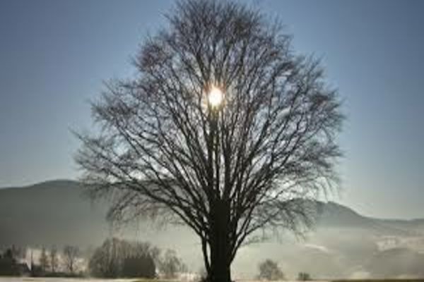 Vremea 4 ianuarie - Temperaturi anormale pentru această perioadă - Ce anunță cei de la ANM