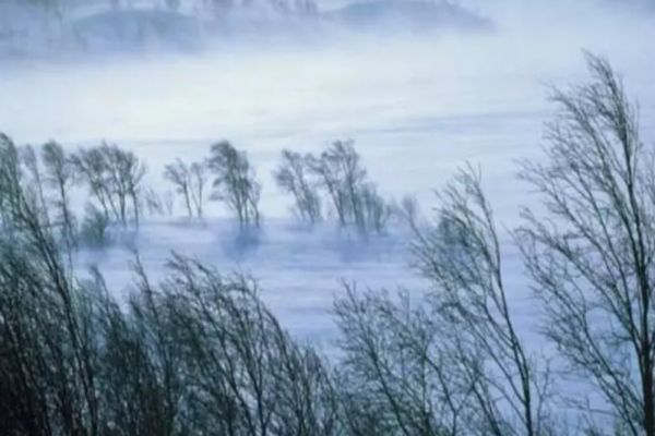 Avertizare meteo: Cod galben de vânt puternic, în două județe din Moldova