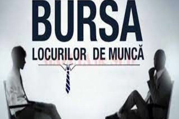 Bursa locurilor de muncă, 9-13 februarie 