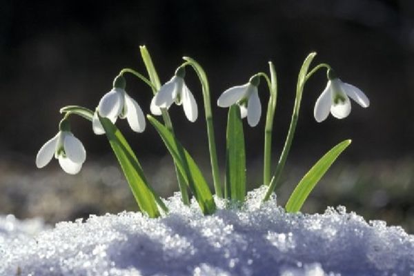 Vremea 16 februarie - Temperaturile în creștere. Unde va fi cel mai cald