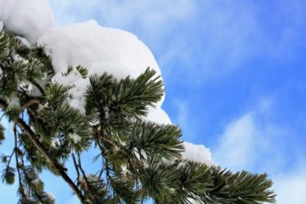 Prognoza meteo 2 februarie. Vremea, împărțită între ploi și ninsori. Temperaturile urcă la 7 grade