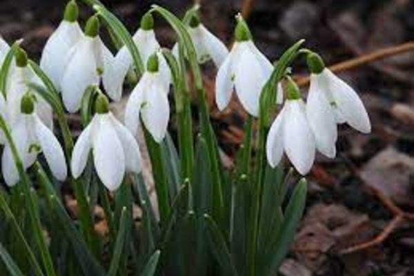 Prognoza meteo 14 februarie. Temperaturi nefirești - anunț de ultim moment de la meteorologi