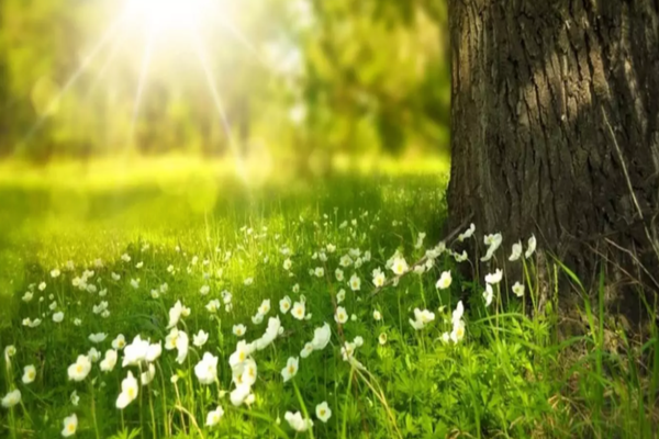 Vremea 28 martie - Început de săptămână cu maxime de 20 de grade