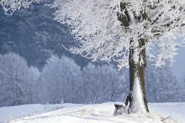 Prognoza meteo 7 martie. Strat nou de zăpadă, în majoritatea regiunilor - maximele abia ating 6 grade Celsius