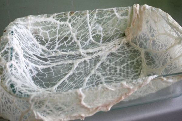 Ce este, de fapt, prapurul de miel. Motivul pentru care trebuie pus în drobul de Paşte. REŢETĂ DROB