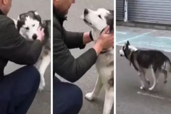 VIDEO | Revedere emoționantă între un câine și stăpânul său, refugiat din Bucha