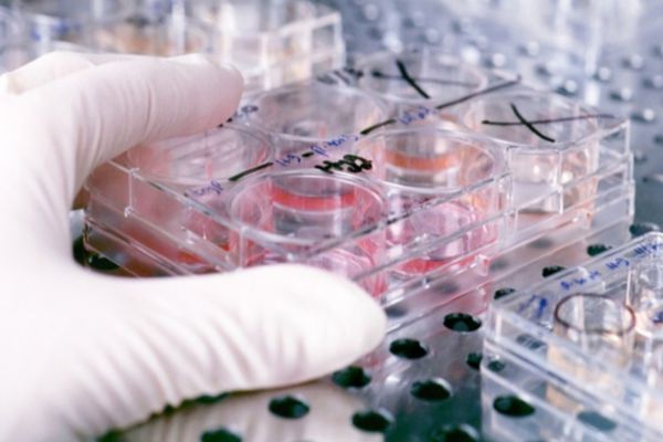 Avertismentul medicilor: te-ai născut înainte de 1990? Fă-ţi de urgenţă aceste analize medicale!