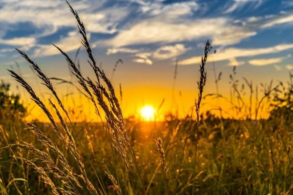 Val de căldură după vremea extremă: schimbări radicale. Temperaturi de foc